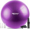 PRO MAX Workout Exercise Ball for Fitness, Yoga, Balance, Stability, or Birth Ball for Pregnancy and Labor