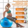 PRO MAX Workout Exercise Ball for Fitness, Yoga, Balance, Stability, or Birth Ball for Pregnancy and Labor